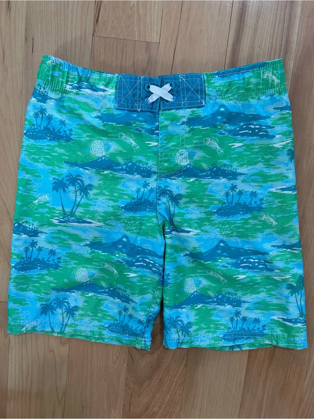 Boys Swim Trunks | 5 Pairs | Under Armour | Old Navy | Rip Curl | Cherokee